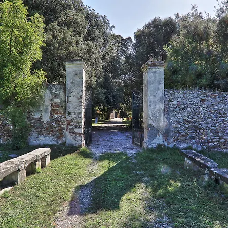 Rosselmini *
